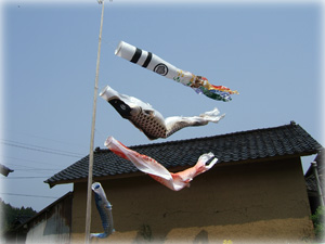 2010_koinobori.jpg